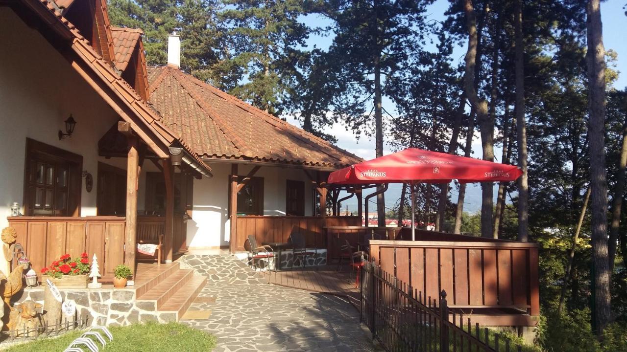 Penzion Martinov Dvor ジリナ エクステリア 写真